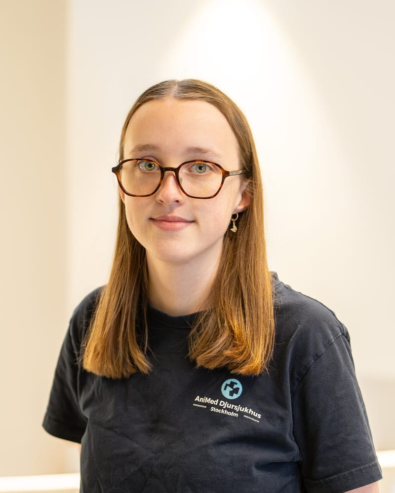 Ida, veterinary care assistant level 2 at AniMed Animal Hospital