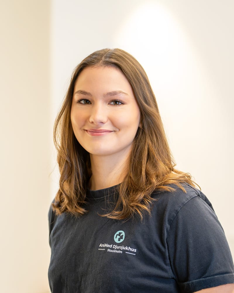Filippa, animal care assistant at AniMed Animal Hospital